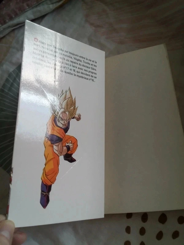 Dragon ball 30 réunification – photo 6